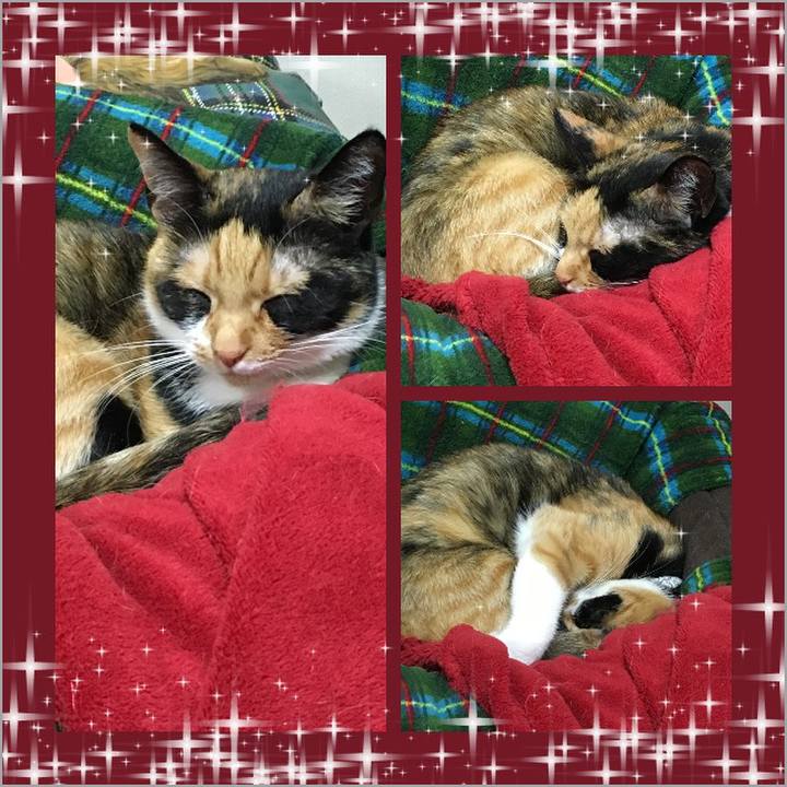 1300bcc7 8eb9 4f1a 8dc2 08ec678073b9