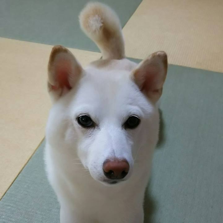 13010e2c d098 4430 a5ce c9020beaa04e