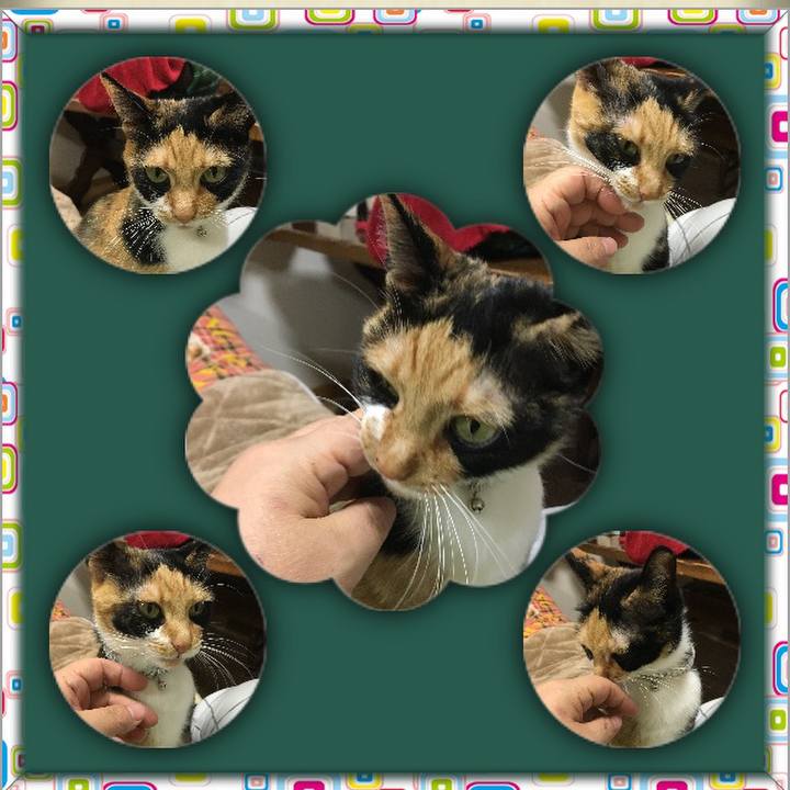 13015b84 12c6 4bab aa6b 36439042b0a6