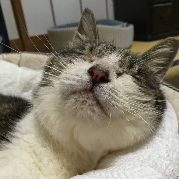 130170b3 9c44 4af0 9d98 ff35c8f7ac84