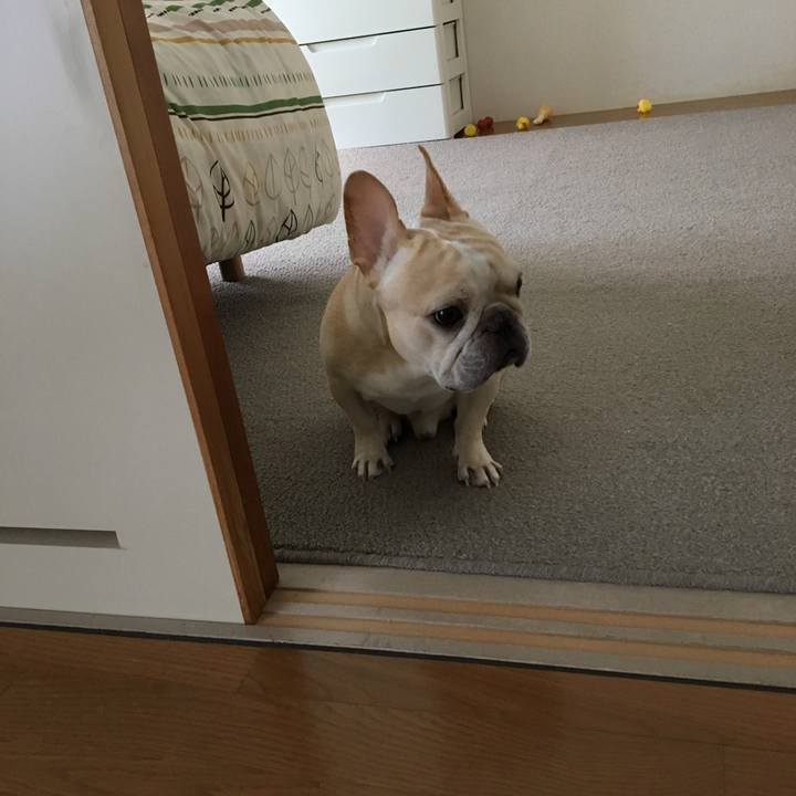 13018bba a99e 4ac1 ad1d c8ca59caf5c1