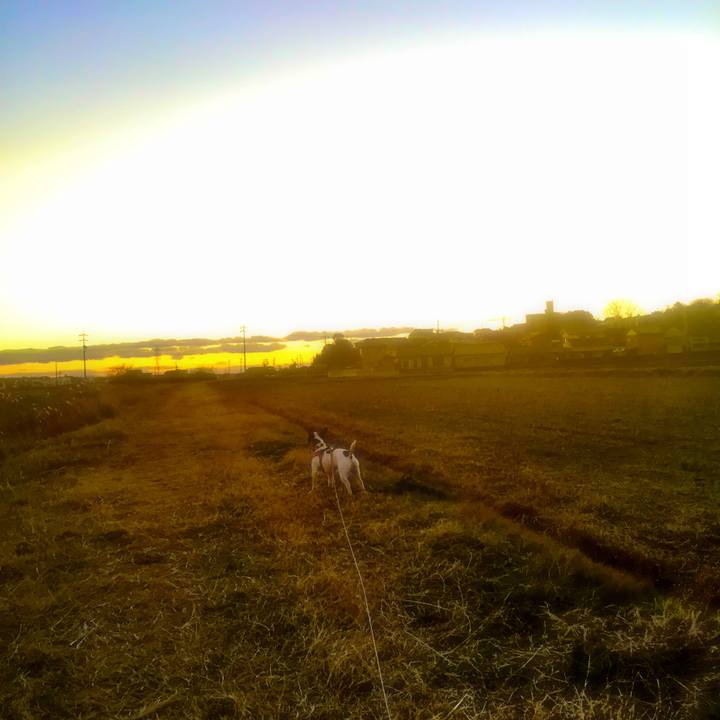 1301a4b4 0462 437d a460 317a8c024f5a