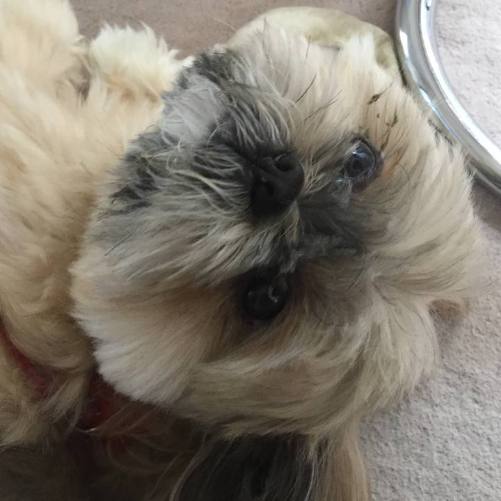 1301c55e dd28 49e7 a56c 3b4a24aae23c