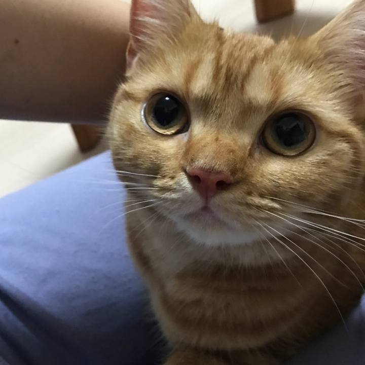 13020599 cac2 4429 8afc 58ee812dd5bc