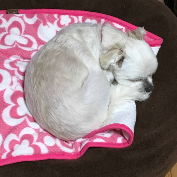 13022409 73bc 48e9 bf3c 0f2a47b9b281