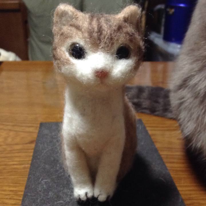 13025b01 eeb8 4bf6 8cfe f437f35c6595