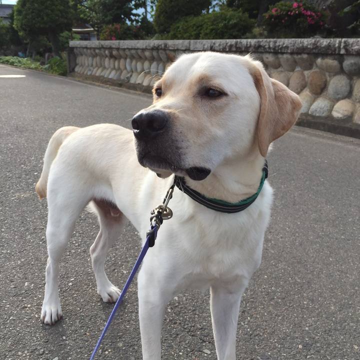 13026810 307f 474f b85f fbfe3b05b6ca