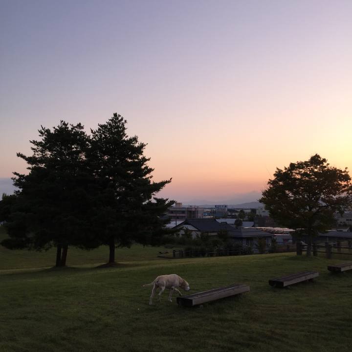 13027261 7b74 481a 9539 71bd2438bd91