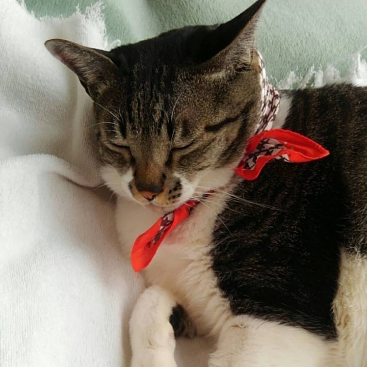 130299dc 2828 470b 906f 22b2f4d9174b