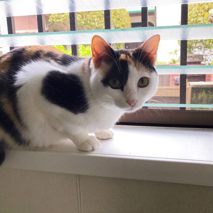 1302a97a 369d 47c7 9d5c 46e3567df061