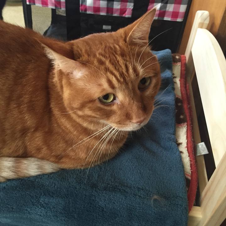 1302b518 1c25 4dd9 beb1 2553c43dc59e