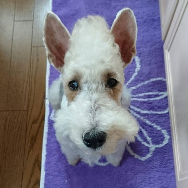 13030606 7c6b 4e7c 8317 99b57a0f42b0