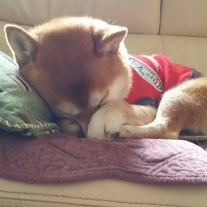 1303b1c5 48d3 40c7 b58f a7019aacfe29