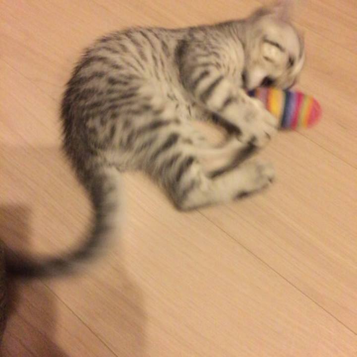 13041abf aa3a 4f4a 872b 00d756c58d7c