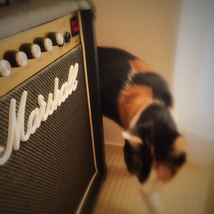 13041e4f 447b 4522 a495 c1cec9bb70a3