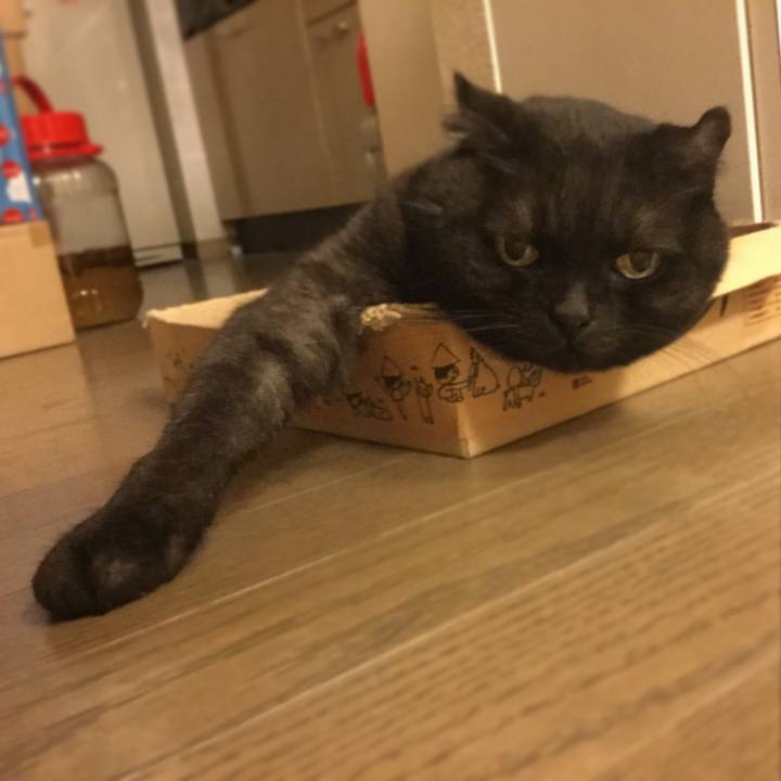 13045922 d1a7 4014 b77b 785cc02d147d