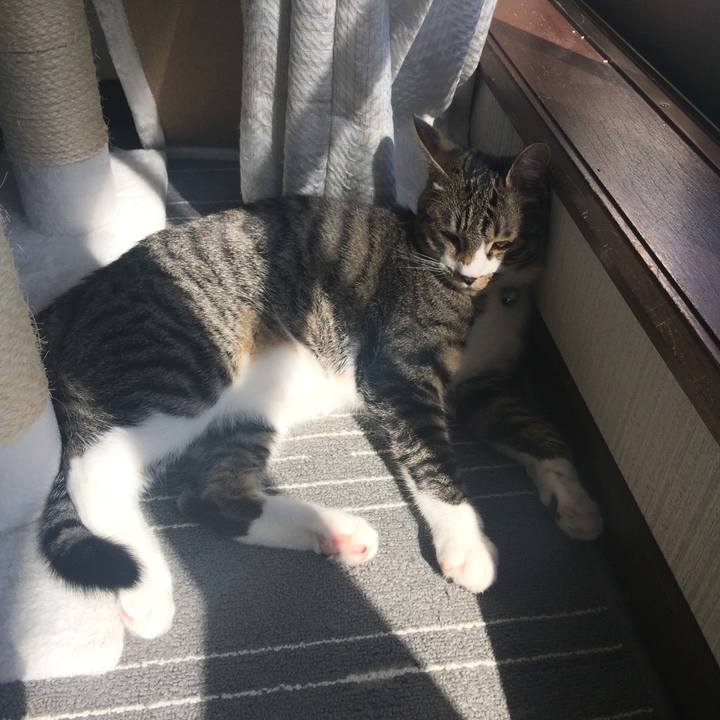 13046bf8 5dfc 49bf 9bf2 b8d5dc5d7030