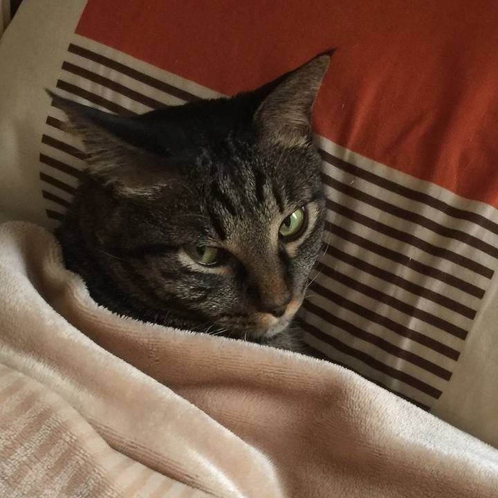 13047536 bd38 4bc1 866b 7c68e87f4e90