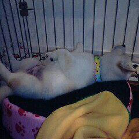 13049f40 1a21 46b6 b981 5f00b32f678a