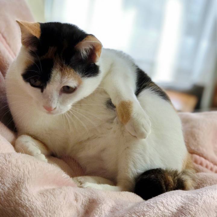 1304af76 a0b7 417e 8721 996363d03725