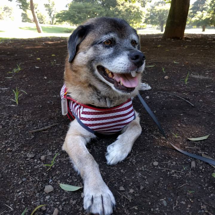 1304cabb 3afc 462f 9702 66f7373cd43d