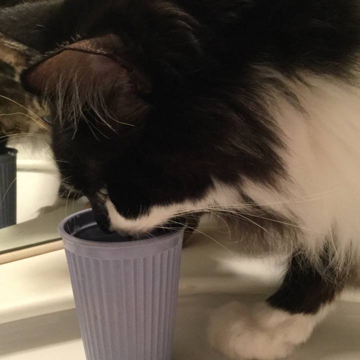 13052191 f6b5 4207 9280 709e645fac56