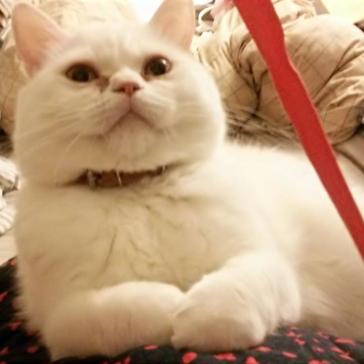 13056712 1b24 4bc9 ad03 23ebc370aa52