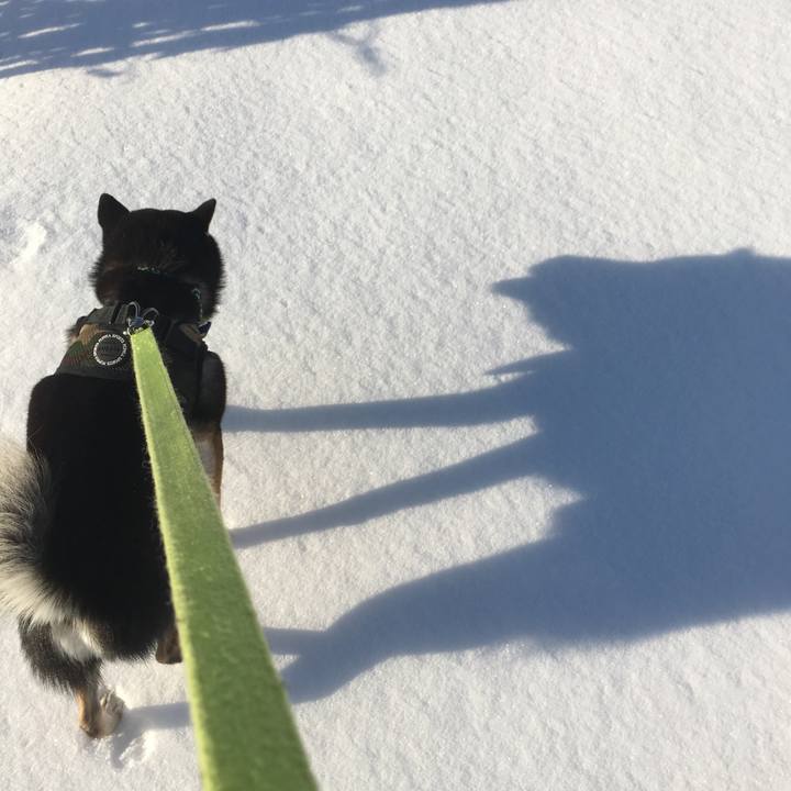 13057df2 fe3b 4ca4 b9c3 3039a9ae9734