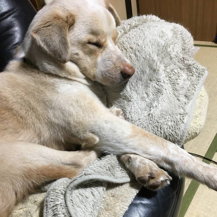 13063587 7930 4215 8e2b 31b69f9027c9