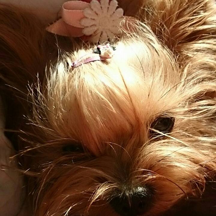 13069ea2 fb31 4399 b6ce 69294bb1e9a0