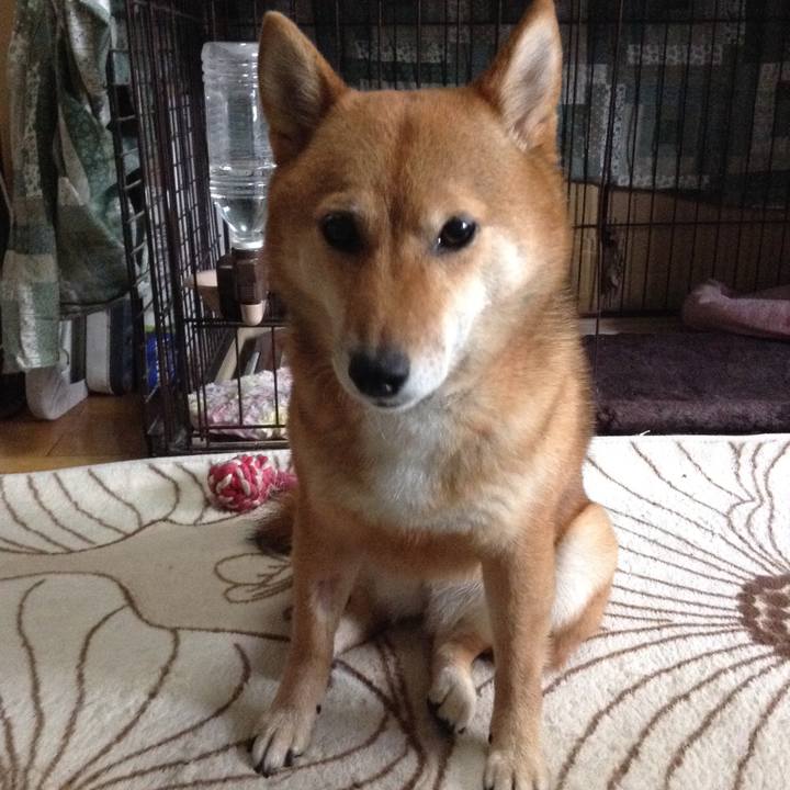 13071106 1cba 48f4 a9a5 84300c90ef94