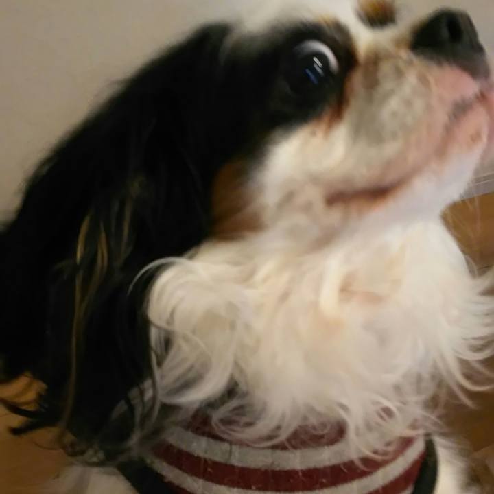 130724fc 7e5f 4d98 ae51 e4d7ce02a423