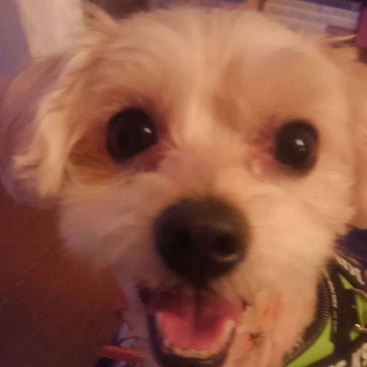 13079b5b 2980 4ae1 84d9 ff1e7b4b15b0