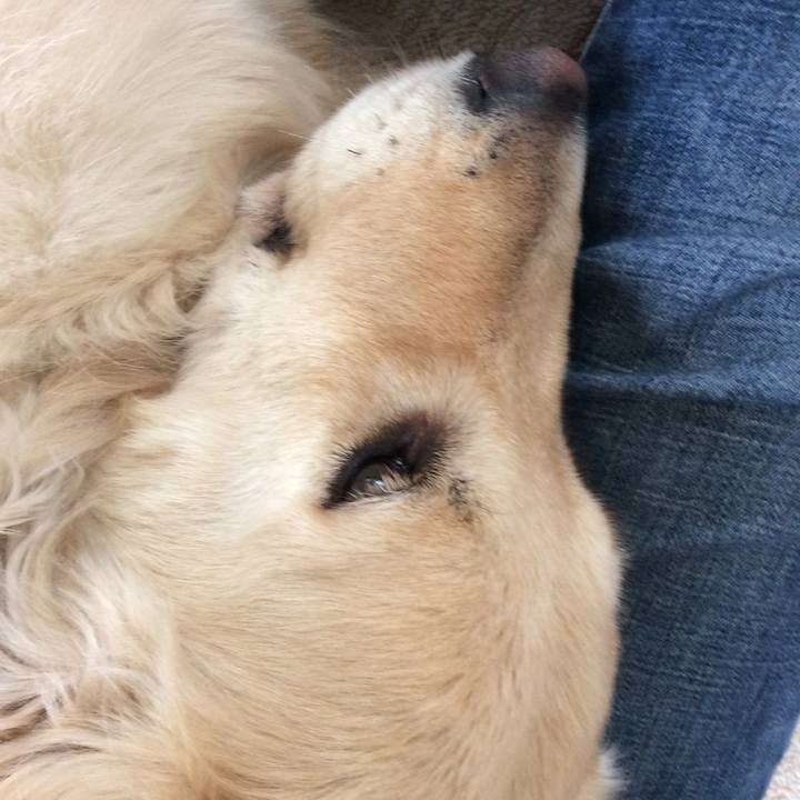 1307b97d fd85 4c96 8cf5 d48db6e3b2c9