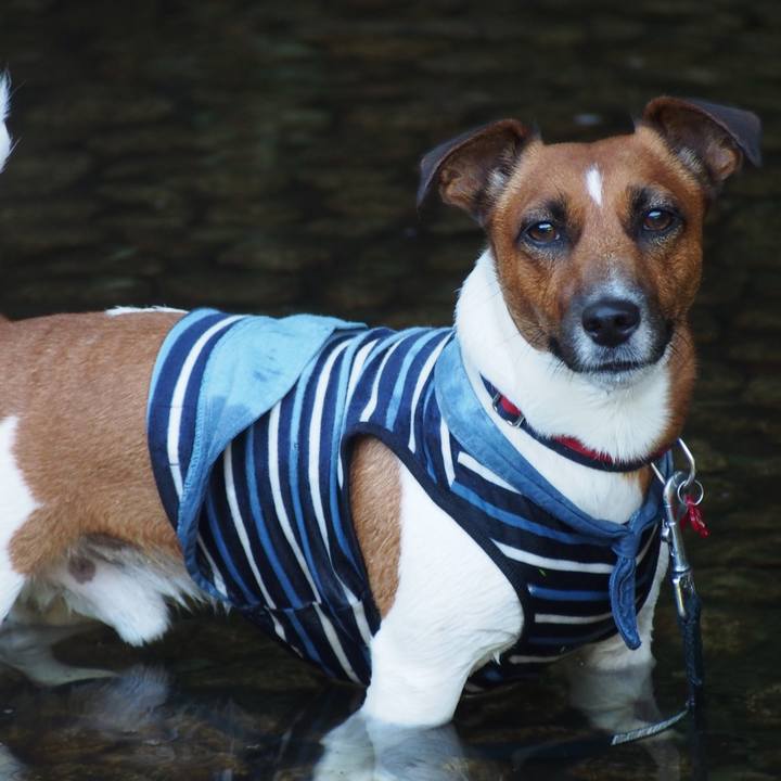 130999cf e1e5 4b42 984a 2506de01766c