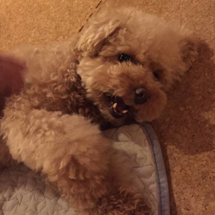 13099e4b 251c 4164 b48c e91163ca6d1d