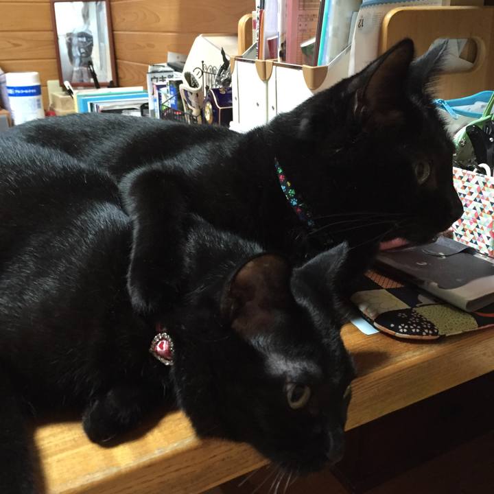 1309e6c1 f3c0 4d9e 8ae0 a3d7efda405d