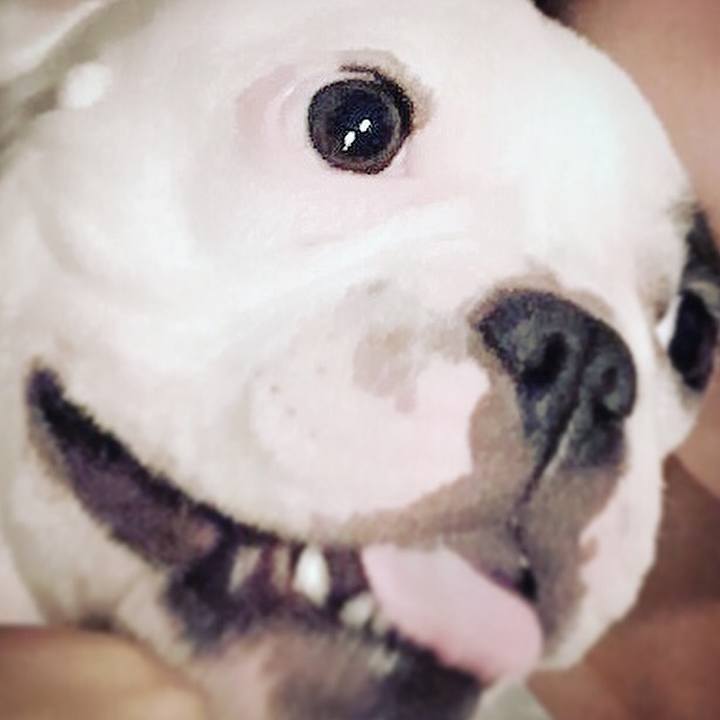 130a0997 efa9 416a adfe 6f0e274ebb97