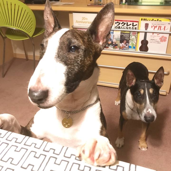 130aad37 8334 43a7 b1f9 9cd80fc98bcf