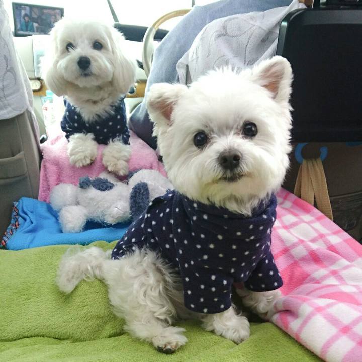 130af59f f592 4e4e 9e00 b36fa40ec4af