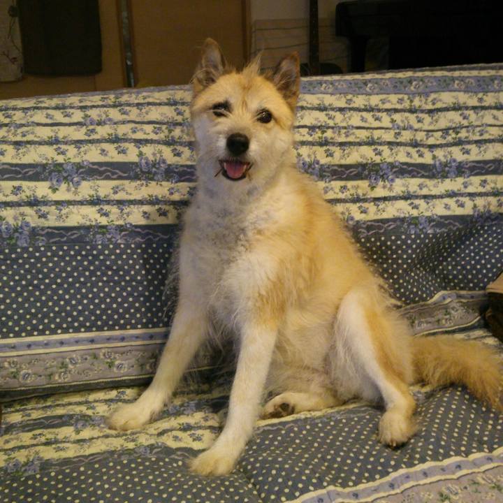 130b4bdd 2022 4c3d 9831 6581597de615