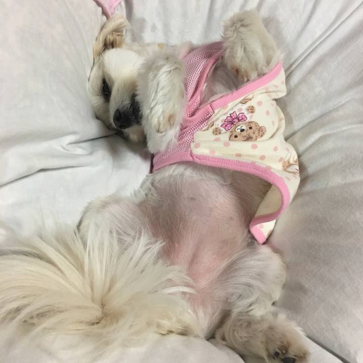 130b6fca 705c 4417 953b 63d9eac4dcd3