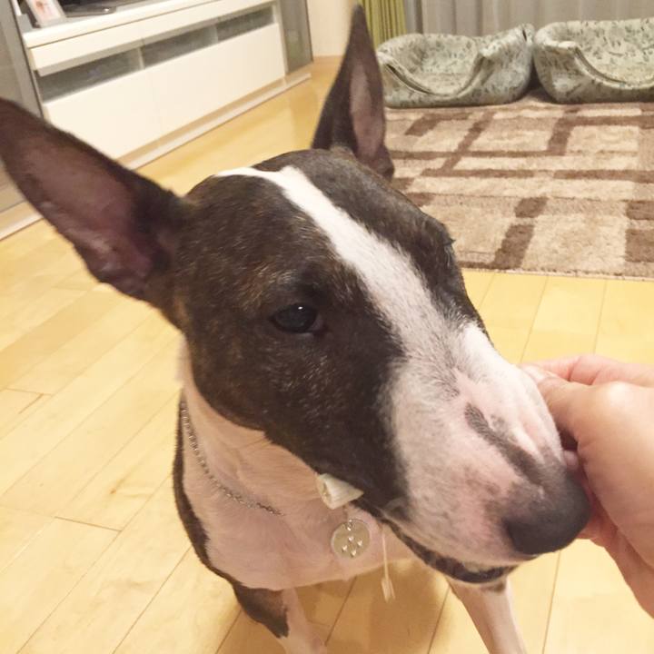 130bcac9 ba38 4b70 82fa c9f28a346e63