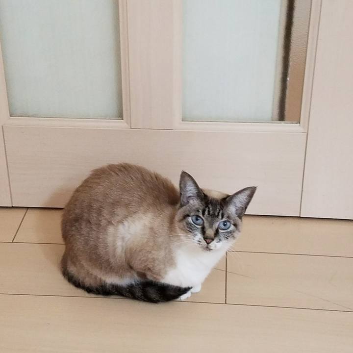 130ce786 2a41 4a51 9be2 e126e6154bc5