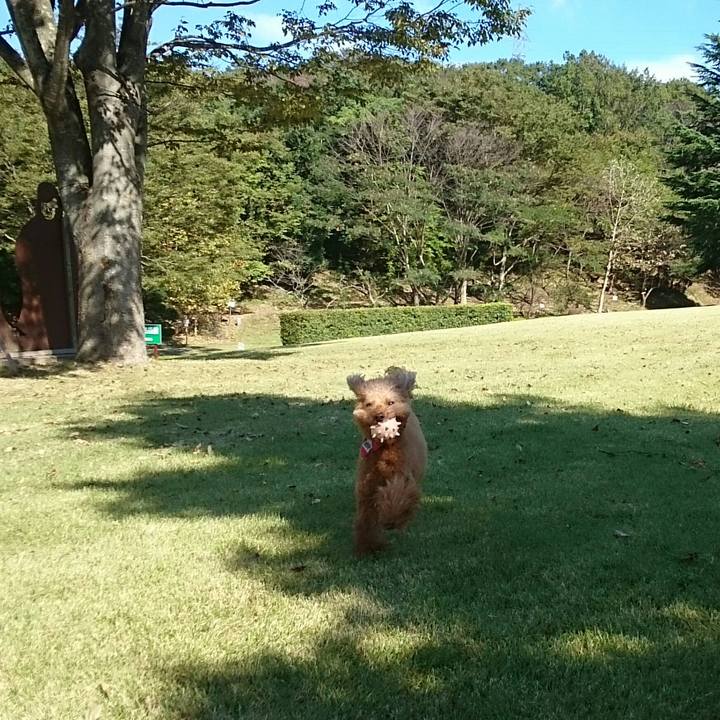 130cf1be cfe9 44a0 b0f4 eaa036b6d607