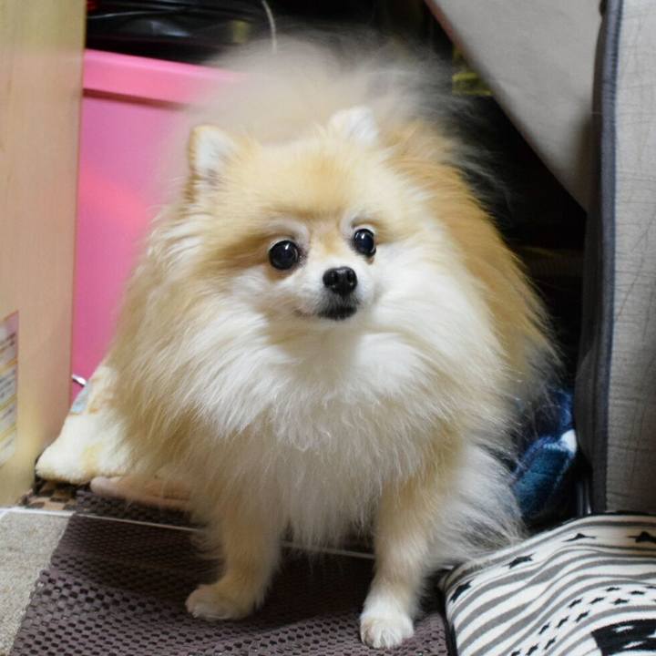 130d2dd3 ebe5 49e2 b73f e581d2a2f66a