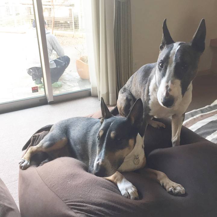 130d611c 37f0 4934 b845 275d475e3701