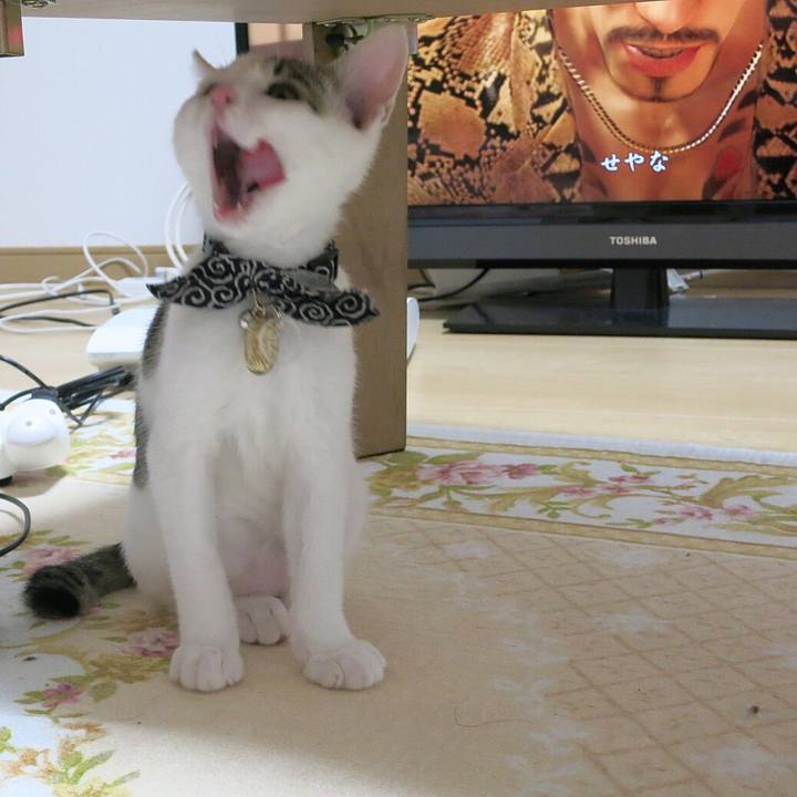 130e1590 a2b7 4f7d 85e5 ef26a6547d8d