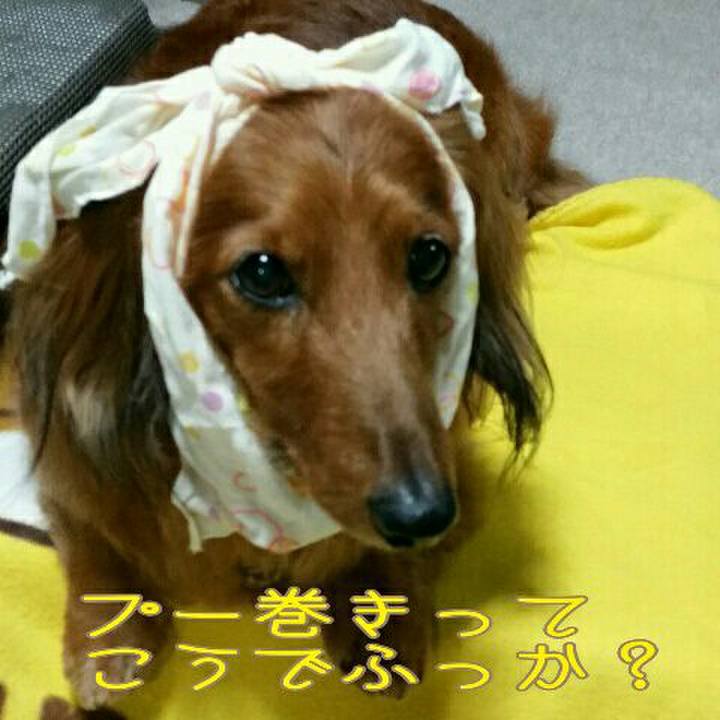 130e412c 0f04 4a0d be5f 6342d72dac96