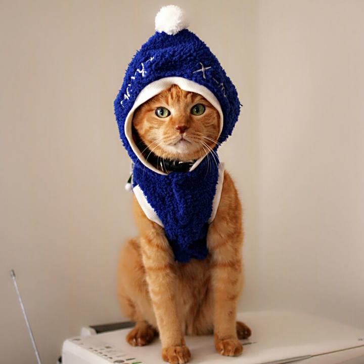 130e526d 3367 43de 83d4 33c1a7c6f867